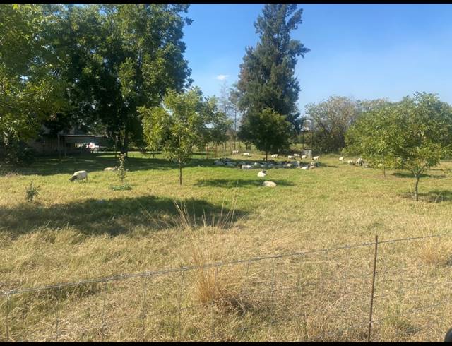 20HA FARM FOR SALE IN WEENEN